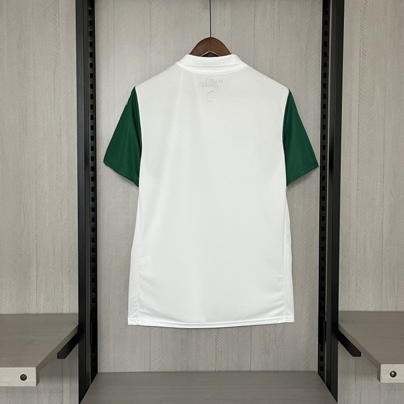 Camisa Palmeiras II 2025/26 — Versão Torcedor